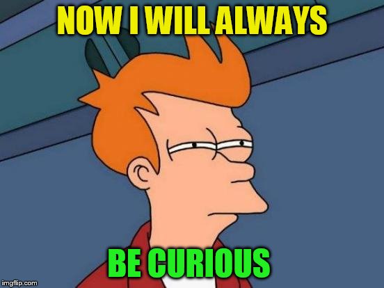 Futurama Fry Meme | NOW I WILL ALWAYS BE CURIOUS | image tagged in memes,futurama fry | made w/ Imgflip meme maker