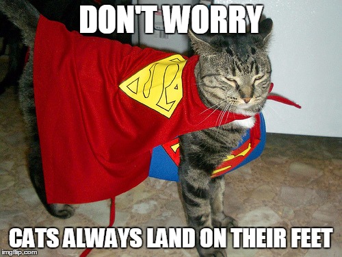 DON'T WORRY CATS ALWAYS LAND ON THEIR FEET | made w/ Imgflip meme maker