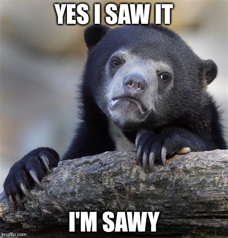 Confession Bear Meme | YES I SAW IT; I'M SAWY | image tagged in memes,confession bear | made w/ Imgflip meme maker