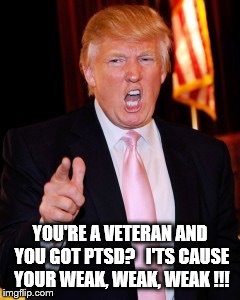 Donald Trump | YOU'RE A VETERAN AND YOU GOT PTSD?  
I'TS CAUSE YOUR WEAK, WEAK, WEAK !!! | image tagged in donald trump | made w/ Imgflip meme maker