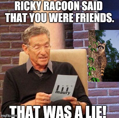 Maury Lie Detector | RICKY RACOON SAID THAT YOU WERE FRIENDS. THAT WAS A LIE! | image tagged in memes,maury lie detector | made w/ Imgflip meme maker