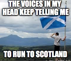 Independent Scotland | THE VOICES IN MY HEAD KEEP TELLING ME; TO RUN TO SCOTLAND | image tagged in independent scotland | made w/ Imgflip meme maker