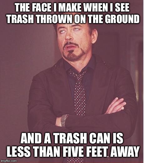 Come on lazy asses! | THE FACE I MAKE WHEN I SEE TRASH THROWN ON THE GROUND; AND A TRASH CAN IS LESS THAN FIVE FEET AWAY | image tagged in memes,face you make robert downey jr | made w/ Imgflip meme maker