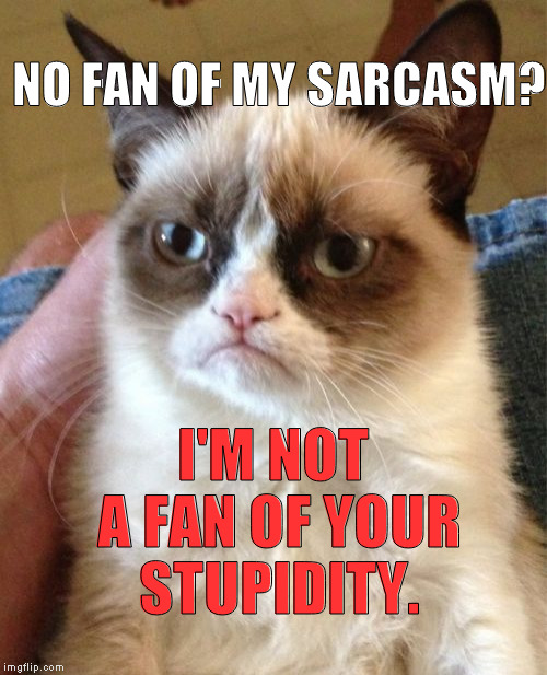Grumpy Cat | NO FAN OF MY SARCASM? I'M NOT A FAN OF YOUR STUPIDITY. | image tagged in memes,grumpy cat | made w/ Imgflip meme maker