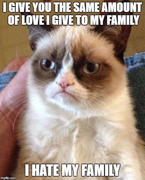 Grumpy Cat | I GIVE YOU THE SAME AMOUNT OF LOVE I GIVE TO MY FAMILY; I HATE MY FAMILY | image tagged in memes,grumpy cat | made w/ Imgflip meme maker