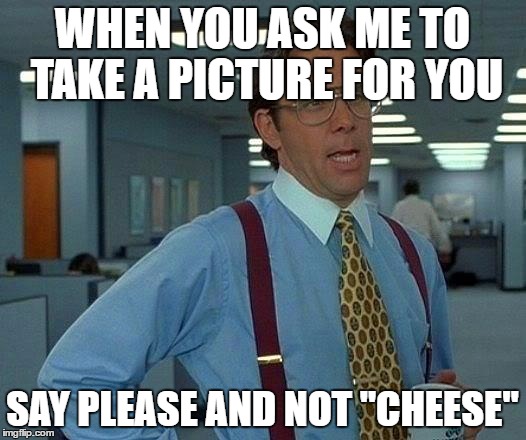What has the world become? | WHEN YOU ASK ME TO TAKE A PICTURE FOR YOU; SAY PLEASE AND NOT "CHEESE" | image tagged in memes,that would be great | made w/ Imgflip meme maker