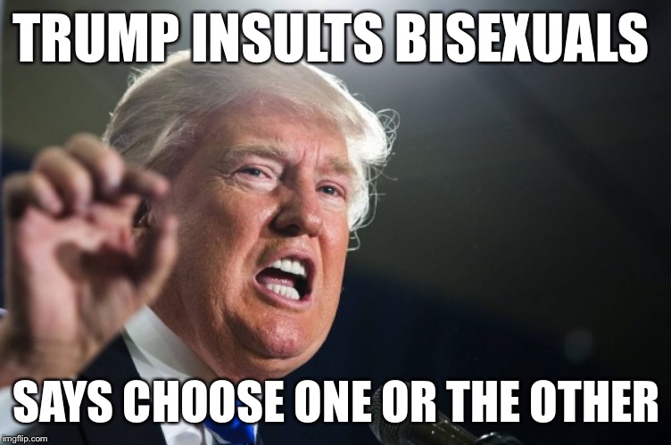 Maybe this hasn't happened yet. | TRUMP INSULTS BISEXUALS; SAYS CHOOSE ONE OR THE OTHER | image tagged in donald trump,funny trump meme,insults,bisexual | made w/ Imgflip meme maker