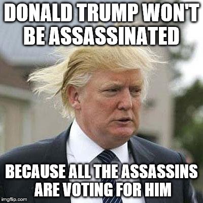 Donald Trump | DONALD TRUMP WON'T BE ASSASSINATED; BECAUSE ALL THE ASSASSINS ARE VOTING FOR HIM | image tagged in donald trump | made w/ Imgflip meme maker