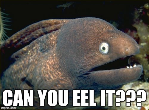 Bad Joke Eel | CAN YOU EEL IT??? | image tagged in memes,bad joke eel | made w/ Imgflip meme maker