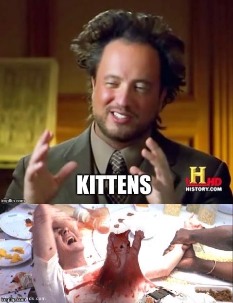 Kittens  | image tagged in funny memes,memes,ancient aliens,kittens | made w/ Imgflip meme maker