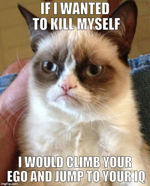 Grumpy Cat Meme | IF I WANTED TO KILL MYSELF; I WOULD CLIMB YOUR EGO AND JUMP TO YOUR IQ | image tagged in memes,grumpy cat | made w/ Imgflip meme maker