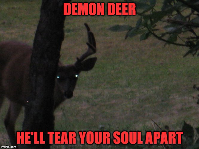 DEMON DEER; HE'LL TEAR YOUR SOUL APART | image tagged in deer demon | made w/ Imgflip meme maker