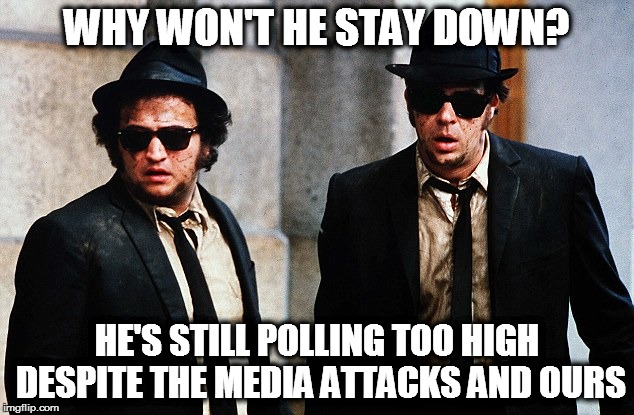 Blues Brothers wtf | WHY WON'T HE STAY DOWN? HE'S STILL POLLING TOO HIGH DESPITE THE MEDIA ATTACKS AND OURS | image tagged in blues brothers wtf | made w/ Imgflip meme maker