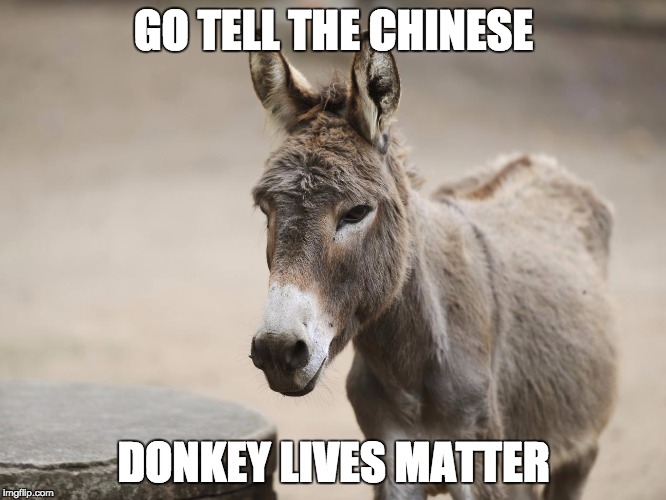 protect them | GO TELL THE CHINESE; DONKEY LIVES MATTER | image tagged in yoda wisdom,random,pets | made w/ Imgflip meme maker
