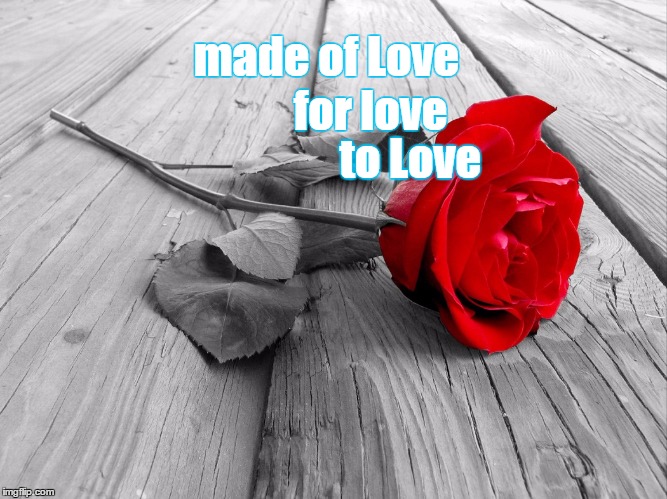 Love is Truth | for love; made of Love; to Love | image tagged in love,truth | made w/ Imgflip meme maker