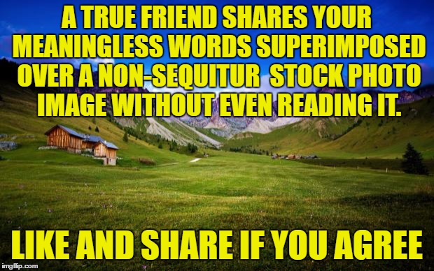peaceful-landscape |  A TRUE FRIEND SHARES YOUR MEANINGLESS WORDS SUPERIMPOSED OVER A NON-SEQUITUR  STOCK PHOTO IMAGE WITHOUT EVEN READING IT. LIKE AND SHARE IF YOU AGREE | image tagged in peaceful-landscape,friends,friendship,stupid,stupid people | made w/ Imgflip meme maker