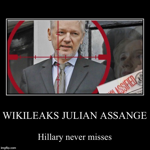 Target Wikileaks | image tagged in funny,demotivationals,julian assange,hillary clinton,wikileaks | made w/ Imgflip demotivational maker