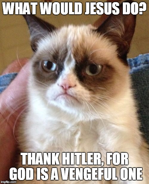 Grumpy Cat | WHAT WOULD JESUS DO? THANK HITLER, FOR GOD IS A VENGEFUL ONE | image tagged in memes,grumpy cat | made w/ Imgflip meme maker