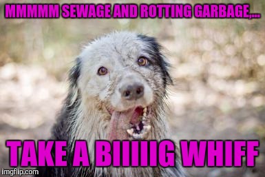 MMMMM SEWAGE AND ROTTING GARBAGE,... TAKE A BIIIIIG WHIFF | made w/ Imgflip meme maker