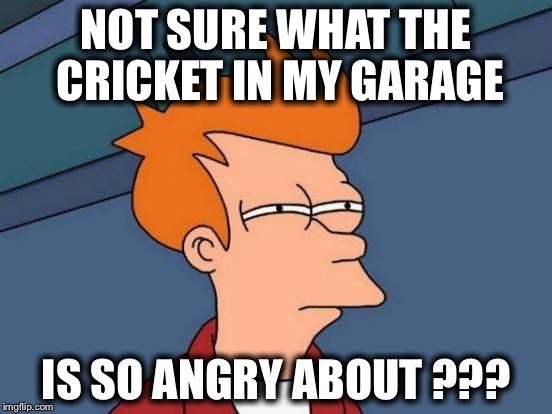 Futurama Fry | NOT SURE WHAT THE CRICKET IN MY GARAGE; IS SO ANGRY ABOUT ??? | image tagged in memes,futurama fry | made w/ Imgflip meme maker