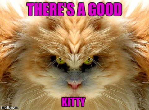 THERE'S A GOOD KITTY | made w/ Imgflip meme maker