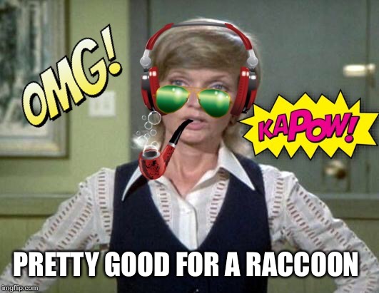 PRETTY GOOD FOR A RACCOON | made w/ Imgflip meme maker