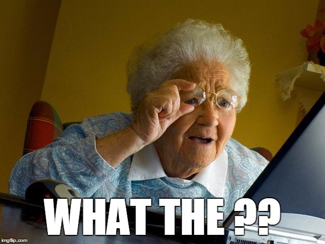 Grandma Finds The Internet Meme | WHAT THE ?? | image tagged in memes,grandma finds the internet | made w/ Imgflip meme maker