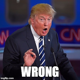 Image result for wrong trump