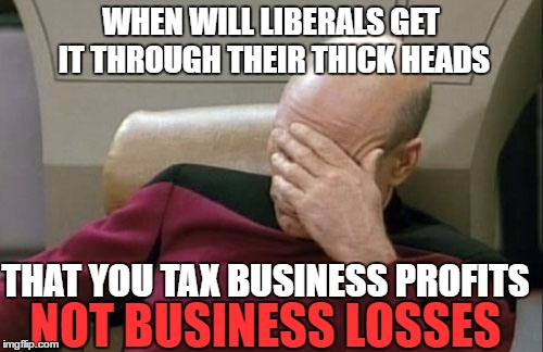 Flawed Liberal Logic 101 | WHEN WILL LIBERALS GET IT THROUGH THEIR THICK HEADS THAT YOU TAX BUSINESS PROFITS NOT BUSINESS LOSSES | image tagged in memes,captain picard facepalm | made w/ Imgflip meme maker