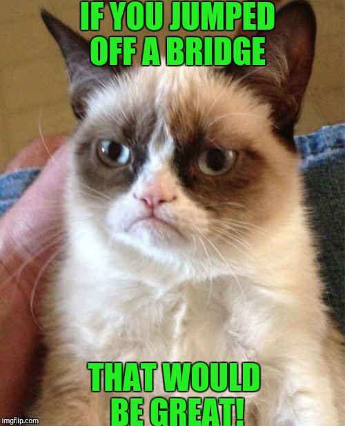 Grumpy Cat | IF YOU JUMPED OFF A BRIDGE; THAT WOULD BE GREAT! | image tagged in memes,grumpy cat | made w/ Imgflip meme maker
