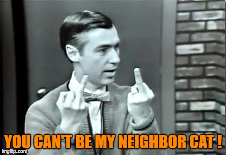 YOU CAN'T BE MY NEIGHBOR CAT ! | made w/ Imgflip meme maker