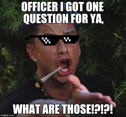What are those!?!? | OFFICER I GOT ONE QUESTION FOR YA, WHAT ARE THOSE!?!?! | image tagged in dj pauly d,thug,what are those | made w/ Imgflip meme maker