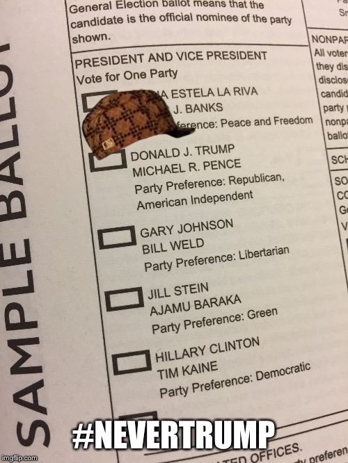 Sample ballot | #NEVERTRUMP | image tagged in sample ballot,scumbag | made w/ Imgflip meme maker