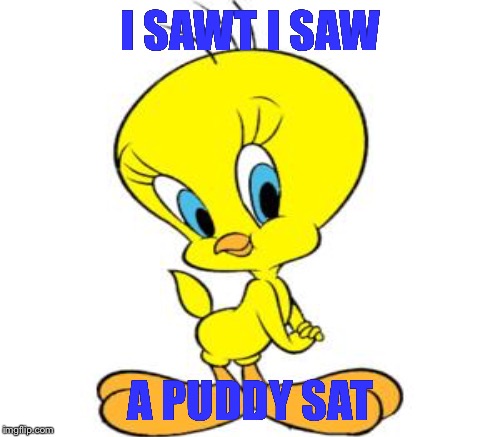 I SAWT I SAW A PUDDY SAT | made w/ Imgflip meme maker