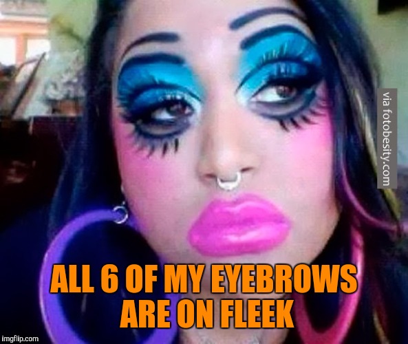 ALL 6 OF MY EYEBROWS ARE ON FLEEK | made w/ Imgflip meme maker