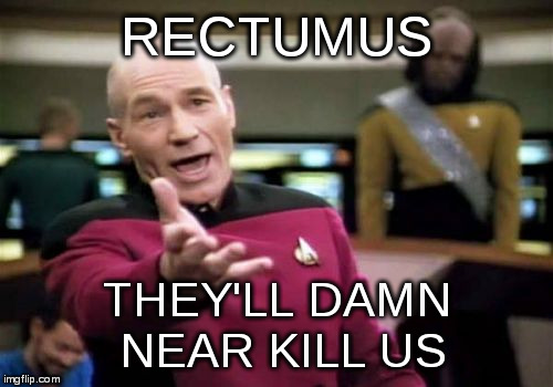 Picard Wtf Meme | RECTUMUS THEY'LL DAMN NEAR KILL US | image tagged in memes,picard wtf | made w/ Imgflip meme maker