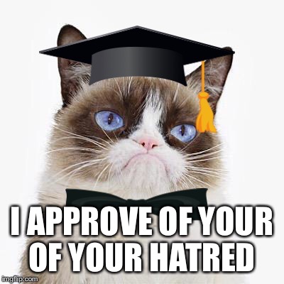 I APPROVE OF YOUR OF YOUR HATRED | made w/ Imgflip meme maker