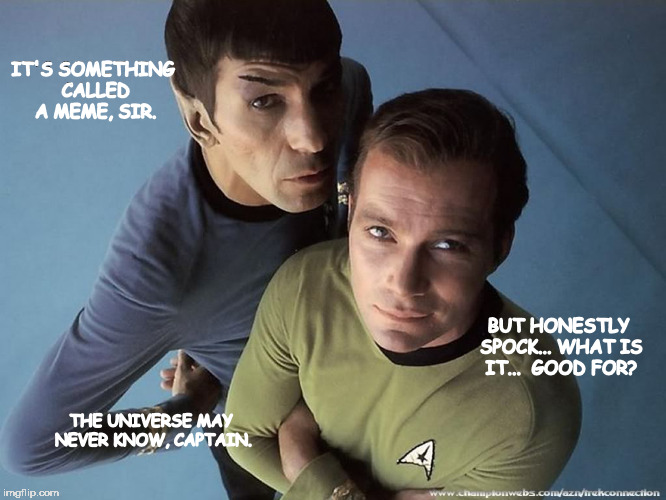 RelationshipGoalsStarTrek | IT'S SOMETHING CALLED A MEME, SIR. BUT HONESTLY SPOCK... WHAT IS IT...  GOOD FOR? THE UNIVERSE MAY NEVER KNOW, CAPTAIN. | image tagged in relationshipgoalsstartrek | made w/ Imgflip meme maker