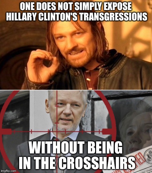 Any life insurance actuarial people want to venture a risk opinion? |  ONE DOES NOT SIMPLY EXPOSE HILLARY CLINTON'S TRANSGRESSIONS; WITHOUT BEING IN THE CROSSHAIRS | image tagged in hillary clinton,julian assange,wikileaks,memes | made w/ Imgflip meme maker