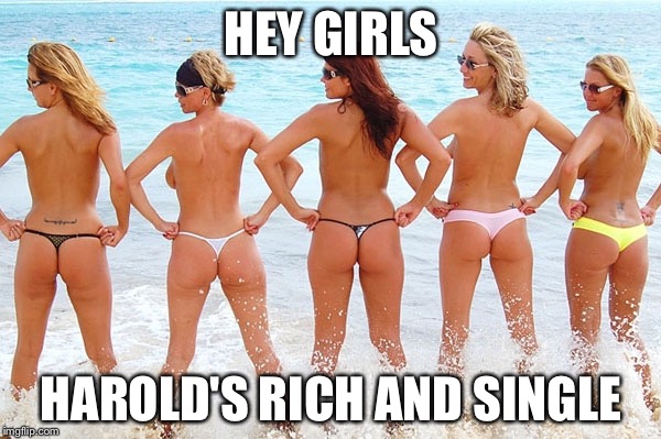 Florida girls | HEY GIRLS HAROLD'S RICH AND SINGLE | image tagged in florida girls | made w/ Imgflip meme maker