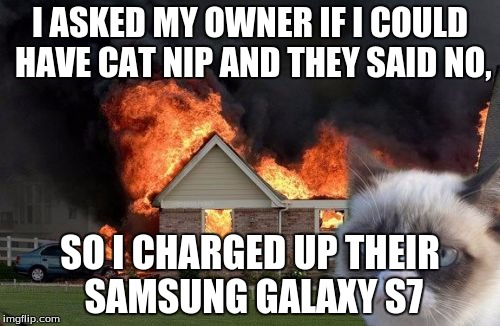 Burn Kitty | I ASKED MY OWNER IF I COULD HAVE CAT NIP AND THEY SAID NO, SO I CHARGED UP THEIR SAMSUNG GALAXY S7 | image tagged in memes,burn kitty | made w/ Imgflip meme maker