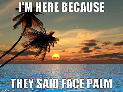 and go west | I'M HERE BECAUSE; THEY SAID FACE PALM | image tagged in memes,palm trees sunset | made w/ Imgflip meme maker