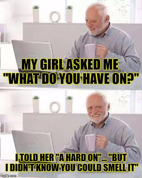 My Girlfriend Asked | MY GIRL ASKED ME "WHAT DO YOU HAVE ON?"; I TOLD HER "A HARD ON"... "BUT I DIDN'T KNOW YOU COULD SMELL IT" | image tagged in my girl,hard on,the rock smelling,smell the d,stiffie | made w/ Imgflip meme maker