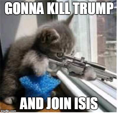 cats with guns | GONNA KILL TRUMP; AND JOIN ISIS | image tagged in cats with guns | made w/ Imgflip meme maker