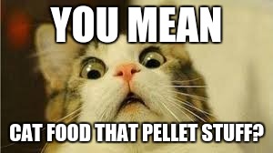 Funny animals | YOU MEAN; CAT FOOD THAT PELLET STUFF? | image tagged in funny animals | made w/ Imgflip meme maker