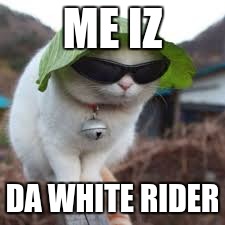 Funny animals | ME IZ; DA WHITE RIDER | image tagged in funny animals | made w/ Imgflip meme maker