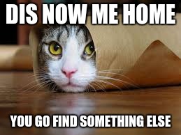 Funny animals |  DIS NOW ME HOME; YOU GO FIND SOMETHING ELSE | image tagged in funny animals | made w/ Imgflip meme maker