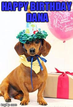 dachshund birthday  | HAPPY BIRTHDAY DANA | image tagged in dachshund birthday | made w/ Imgflip meme maker