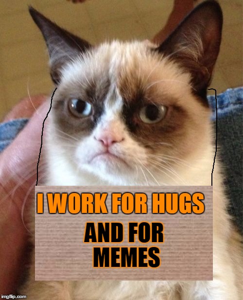 work for memes | AND FOR MEMES; I WORK FOR HUGS | image tagged in memes,grumpy cat,drawing,cardboard,work | made w/ Imgflip meme maker