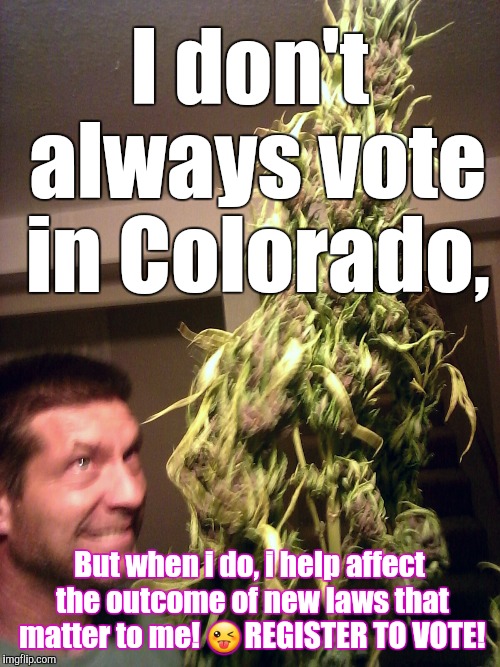 Democracy in action! (Register to vote & vote!) | I don't always vote in Colorado, But when i do, i help affect the outcome of new laws that matter to me! 😜REGISTER TO VOTE! | image tagged in democracy | made w/ Imgflip meme maker